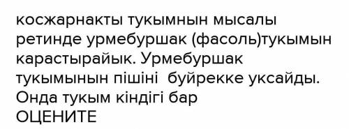 №14,15,16 элементтің атом құрылысына сипаттама беру