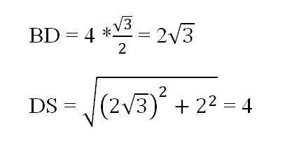 . Определи длину отрезка DS.​