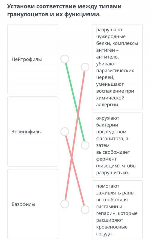 Определи, какие из описаний соответствуют зернистым лейкоцитам. 1. Представлены моноцитами и нейтроф