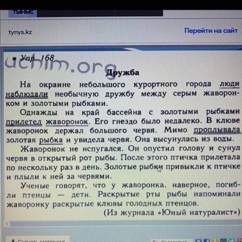 написать изложение на тему необычная дружба.