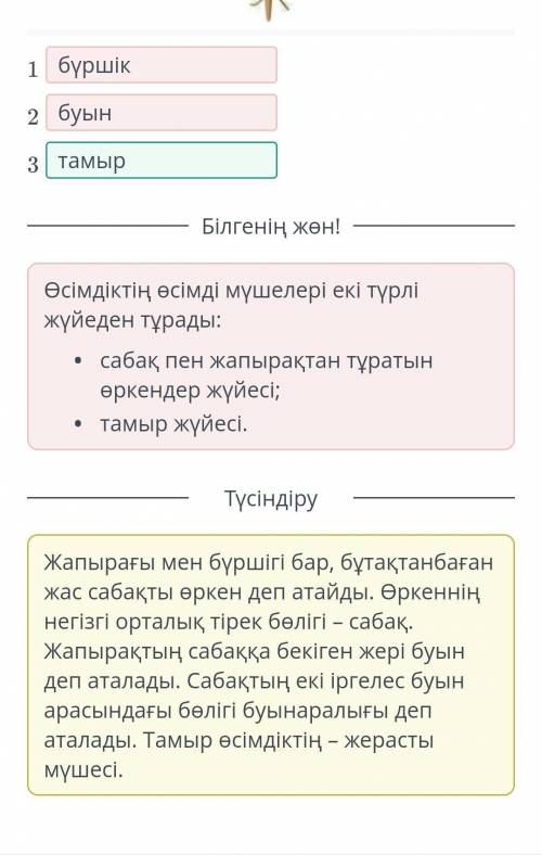 Жауабы барма өтініш керек болып тұр ​