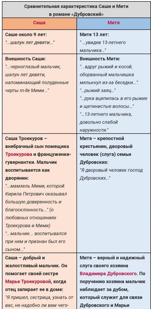 Чем отличаются мальчики, Саша и Митя? Дубровский 17 глава