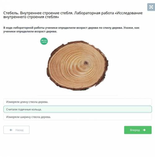 В ходе лабораторной работы ученики определили возраст дерева по спилу дерева. Укажи, как ученики опр