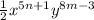 \frac{1}{2} x^{5n+1}y^{8m-3}