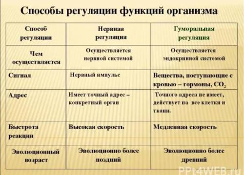 пример функции регуляции ядра