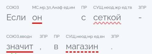 Если он с сеткой - значит, в магазин. Предложение сложное или простое?