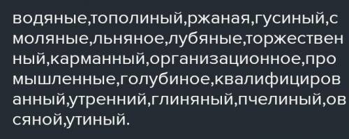 Вставьте пропущенные -н- или -нн- . Обозначьте суффиксы прилагательных. Водя...ые капли, тополи...ый