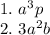 1.~a^3p\\2.~3a^2b