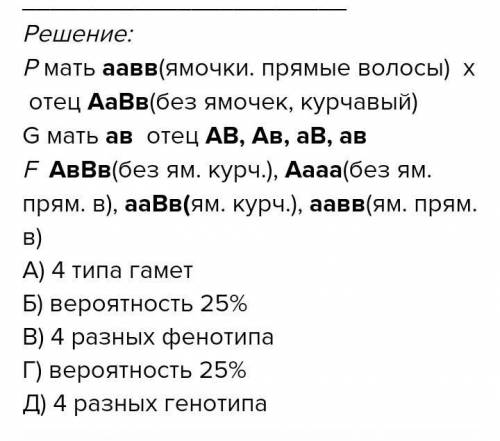 У человека отсутствие ямочек доминирует над их наличием, а курчавые волосы доминируют над прямыми. В