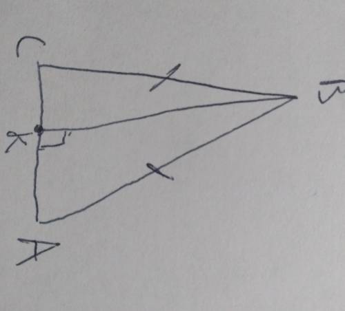 В треугольнике ABC проведена высота BK