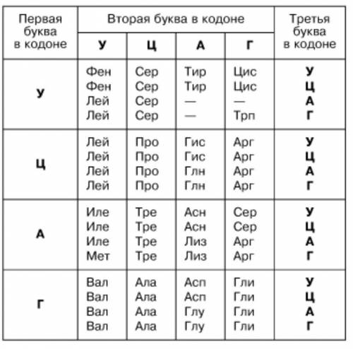 Задание 3. Решите задачу Часть нити молекулы ДНК состоит из нуклеотидов ААТ АГГ ТТТ АЦЦ ААТ ТЦА. Как