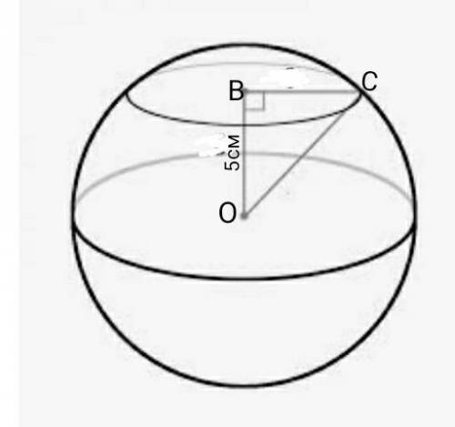 В шаре на расстоянии 5 см от центра проведено секущую плоскость так, что в сечении образовался круг,