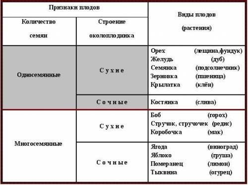 Составьте таблицу выды плодов и их организаций