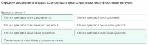 Определите изменения в сосудах выстилающих органы при увеличении физических нагрузок Верных ответов: