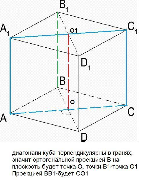 В кубе ABCDA1B1C1D1 (рис 15.7) изобразите ортогональную проекцию на плоскость АСС1 отрезка : а) BB1