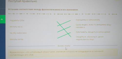 Установи соответствие между фразеологизмом и его значением. Надувать губыХорошенько запоминатьМотать