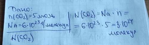 Сколько молекул содержит углекислый газ (CO2) количеством вещества 5 моль?