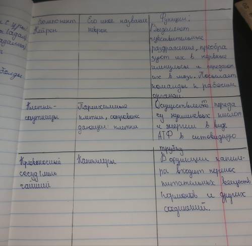 ДАЮ Моделирование № 2. Изучение нервной ткани.НервныеКлеткиКлетки-спутницыКровеносные сосуды2. Проан