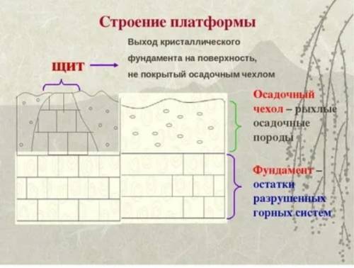 Какое строение имеют платформы материков?