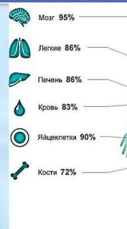 Какой орган больше нуждается в воде​