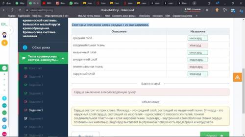 Соотнеси описание слоев сердца с их названиями​