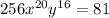 256x^{20}y^{16}= 81