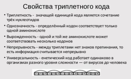 Що є недоліками триплетного коду? Чому живі організми не можуть використовувати дуплетний генетичний