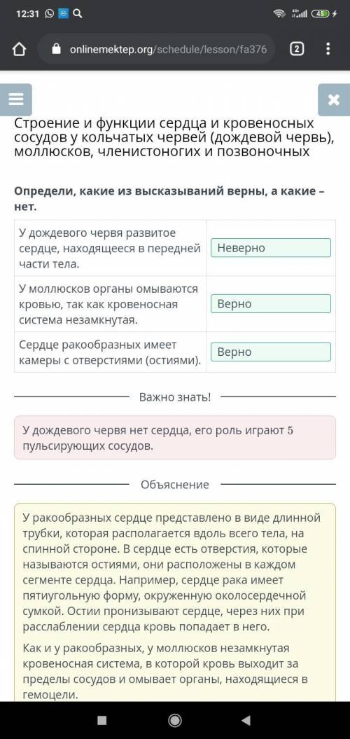 Определи, какие из высказываний верны, а какие - нет. Удождевого червя развитое сердце, находящееся