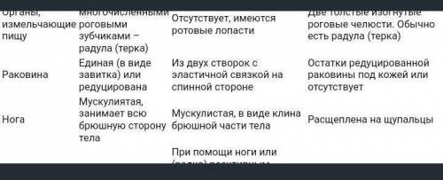 Заполнить таблицу «Сравнительная характеристика классов моллюсков» - Брюхоногие, Двустворчатые, Голо