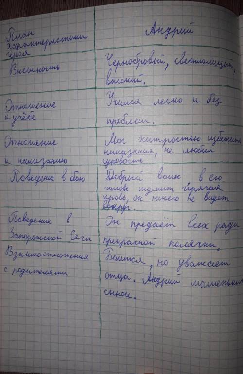 письменно рассказать об Андрии (12 предложений) Портрет героя, его характер, поступки, отношение к м