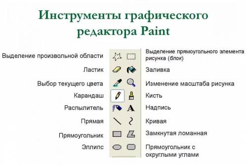 Найди соответствие инструментов редактора Paint кто ответит правильно