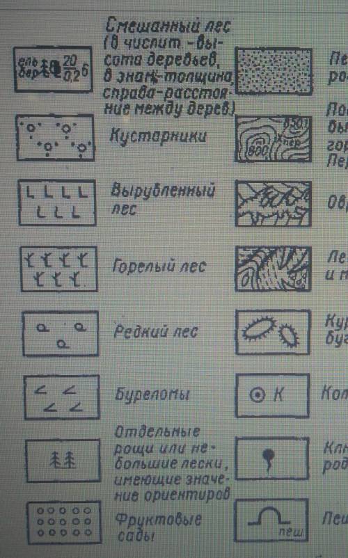 География характеристика основных ознак топографичных карт