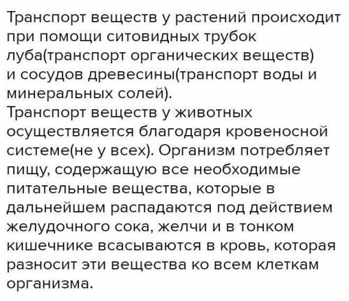 биология седьмой класс организмы многоклеточные Как происходит у них в особенности транспорта вещест