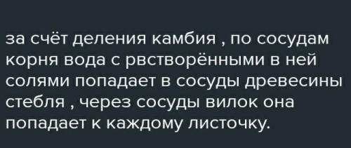 помагите у меня сор по биоогий ​