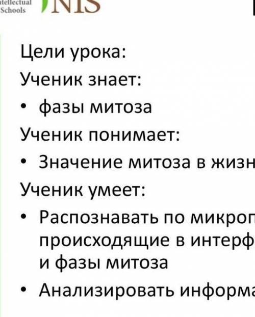 Лабораторная работа Определение уровня митотической активности в клетках корешка лука нарисовать и