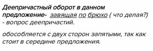 Волки , завящая по брюхо , отошли в поле и легли , повернувшись мордами к деревне. деепричасный обор