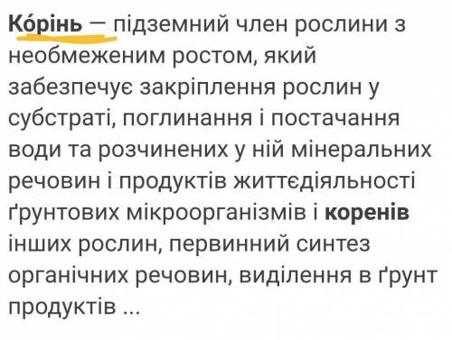 БУДОВА ТА ФУНКЦІЇ КОРЕНЯ зона кореняФункція зони кореня Якими тканинами утворена ​