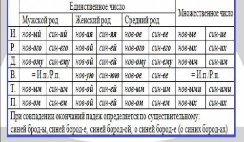 Падежные окончания имён прилагательных.