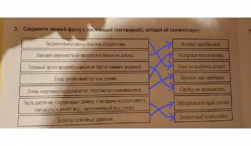 соединять линией фразы с плсловицей поговорки, которая ей соответствует