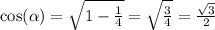 \cos( \alpha ) = \sqrt{1 - \frac{1}{4} } = \sqrt{ \frac{3}{4} } = \frac{ \sqrt{3} }{2}