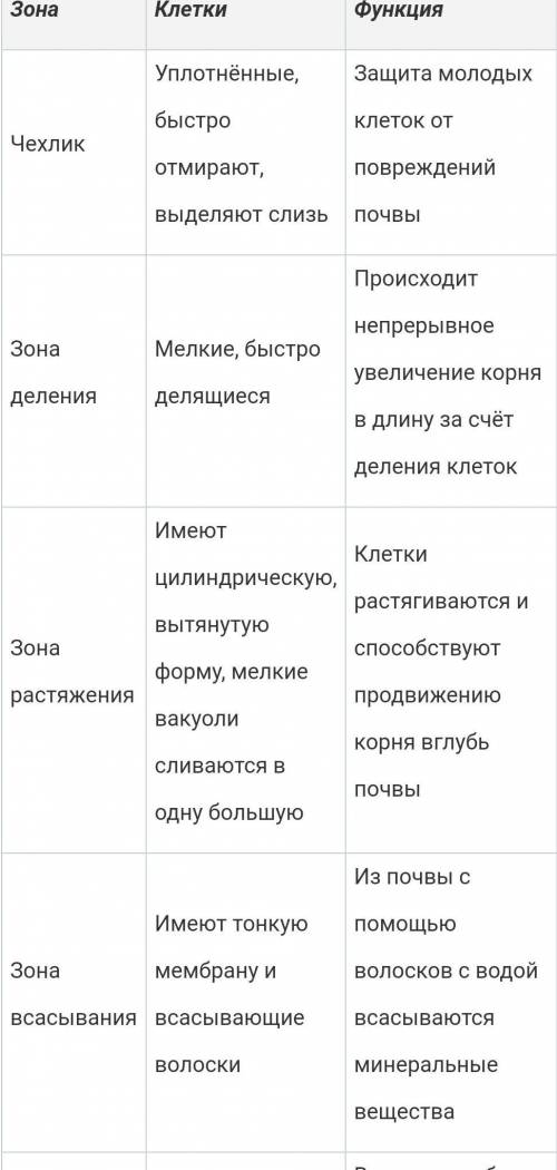 умоляю Опишите особенности строения­­ и функции зоны корня под цифрой 4 (2). Особенности строения: Ф