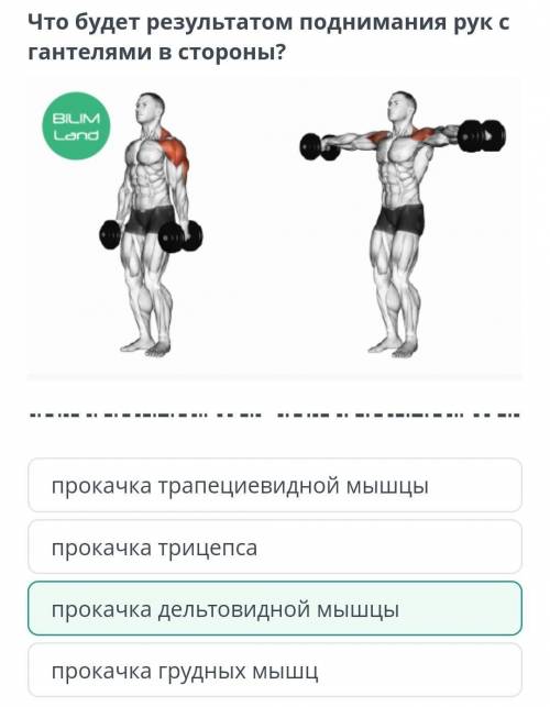 Прокачка трапециевидной мышцы прокачка трицепса прокачка дельтовидной мышцы прокачка грудных мышц