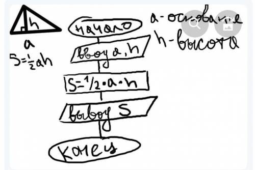 Составить блок- схему алгоритма, вычисляющего площадь треугольника по известной высоте h и основанию
