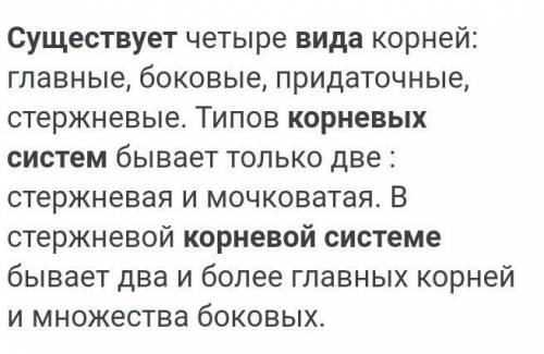 что такое корневая система и сколько её видов существует?что такое структура почвы? вообще что что т