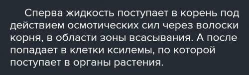 б. Если почву в горшке полить теплой водой, то вода начинает подниматься по трубке и вытекать из нее