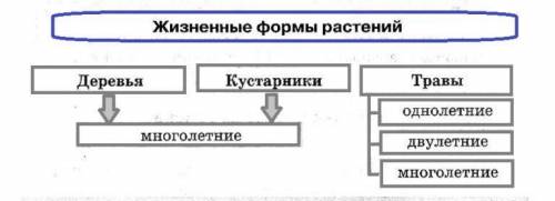 Сделайте конспект про тему: Царство растений ЗАРАНЕЕ