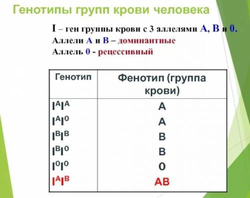 Человек с фенотипом AB по группе крови имеет генотип AB. Какая связь между аллелем A и аллелем B?​