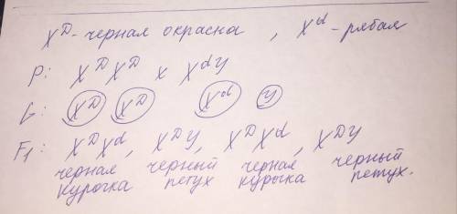 1.Какое может быть зрение у детей от брака мужчины и женщины, нормально различающих цвета, если изве