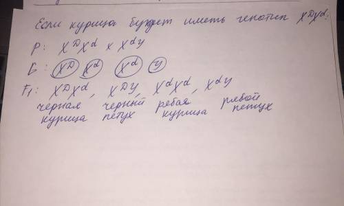 1.Какое может быть зрение у детей от брака мужчины и женщины, нормально различающих цвета, если изве