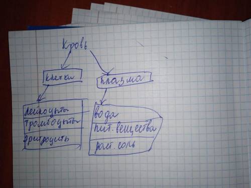 Составьте схему из чего состоит кровь